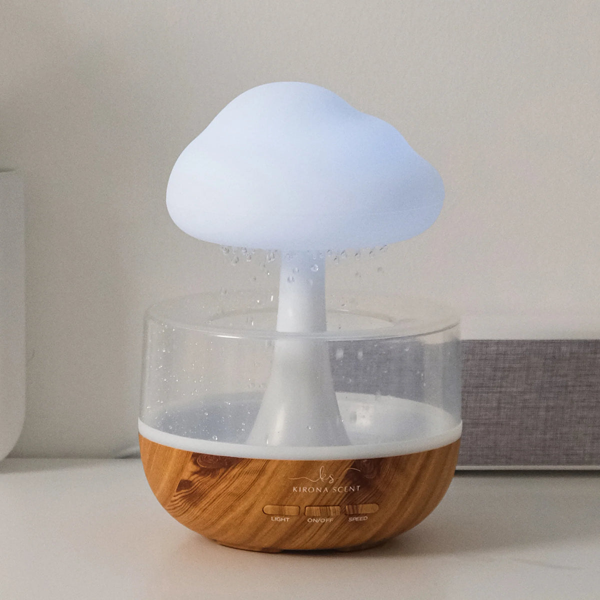 Rain Cloud Humidifier